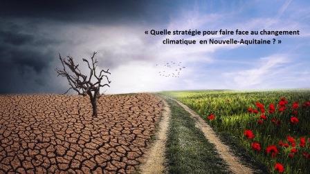 TRCaféEconomique_Web